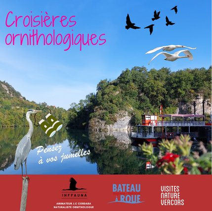 Visuel croisière ornithologique.png