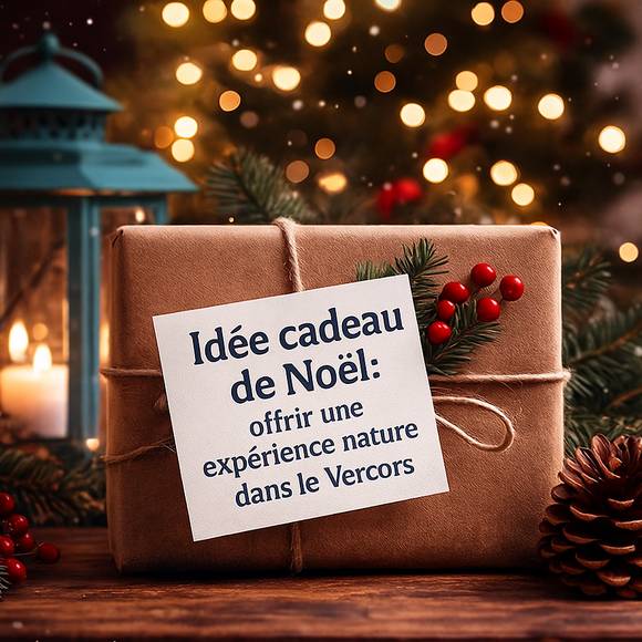 img-une-idee-cadeau-originale-pour-noel-offrir-une-experience-nature-dans-le-vercors
